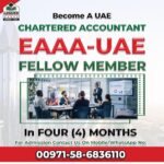 UAE Fellowship Program in Dubai